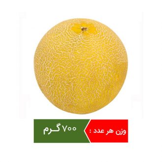 ملون میوه فصل