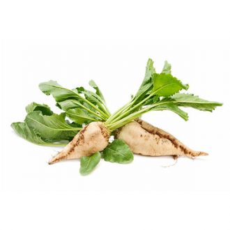 beet