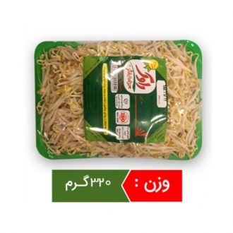 جوانه ماش