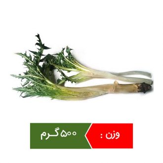 کنگر