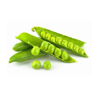 seed