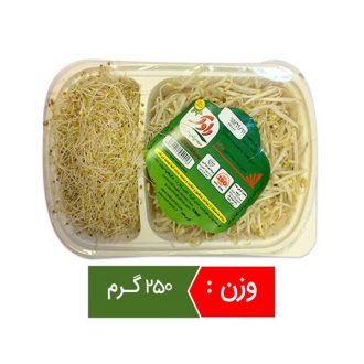 shabdar