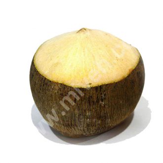 کوکوریکو