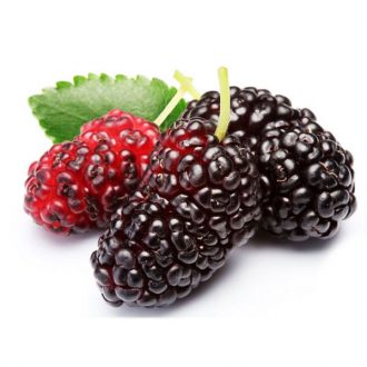 Berry
