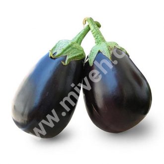 بادمجان دلمه – تره بار