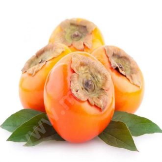 خرمالو