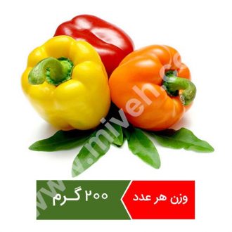 فلفل دلمه رنگی – تره بار