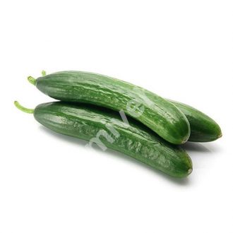 خیار درختی – تره بار