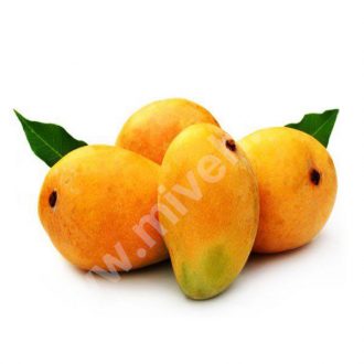 انبه – میوه فصل