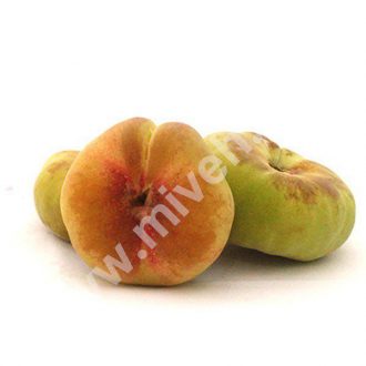 هلو انجیری – میوه فصل