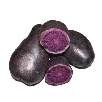 potato-india
