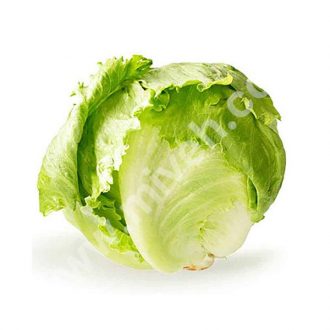 کاهوپیچ – تره بار