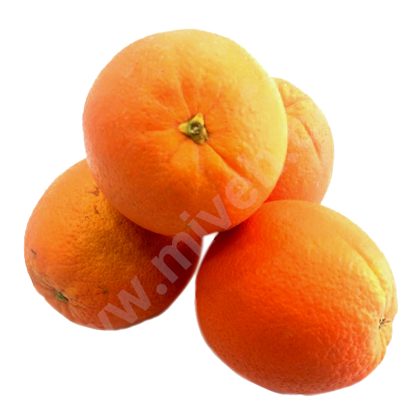 orange-north
