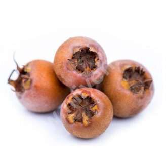 ازگیل – میوه فصل