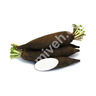ترب سیاه – تره بار