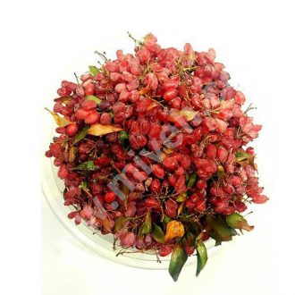 زرشک – میوه فصل