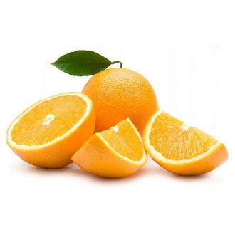 orang-tamson-north