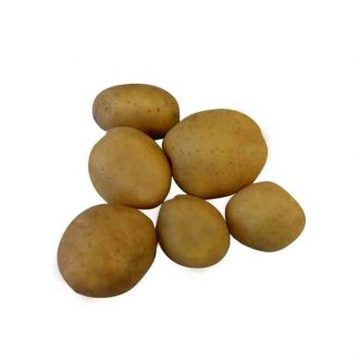 سیب زمینی فندقی